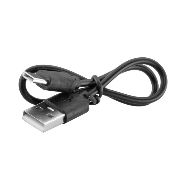 Électrochoc porte-clefs 100 000 V Concorde Defender